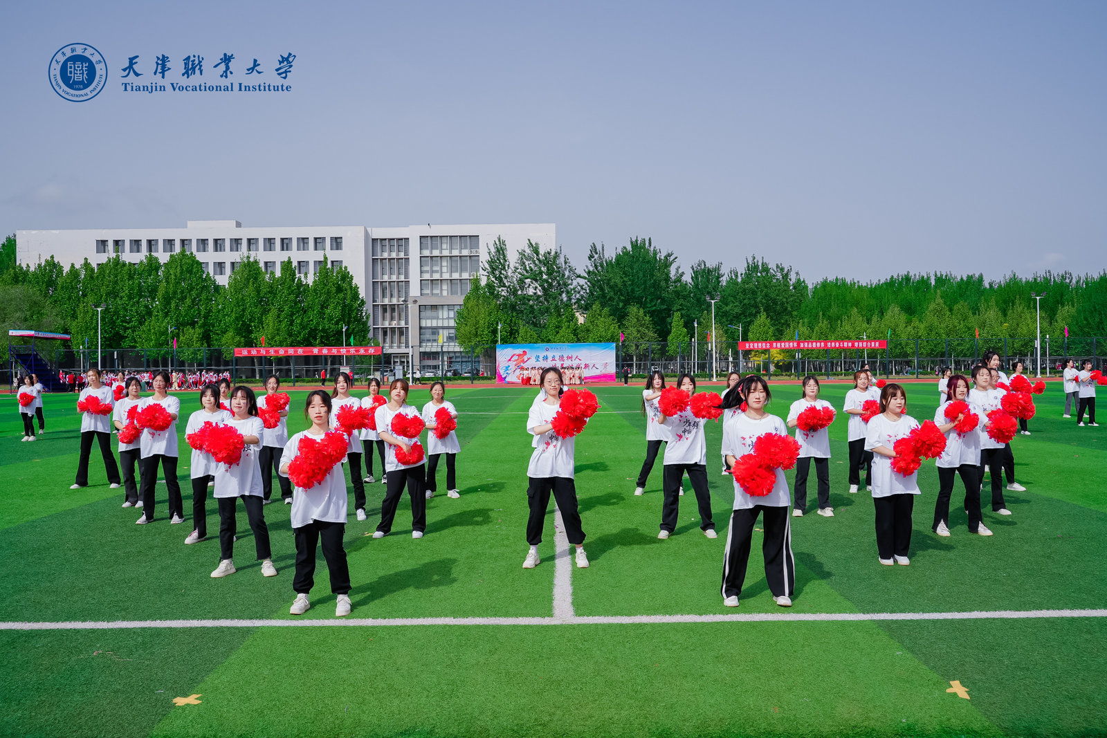 国产精品自产拍在线观看免费